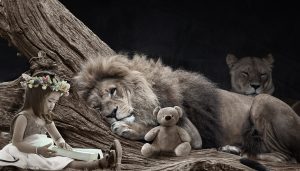 Lion Reiki – For Courage and Protection