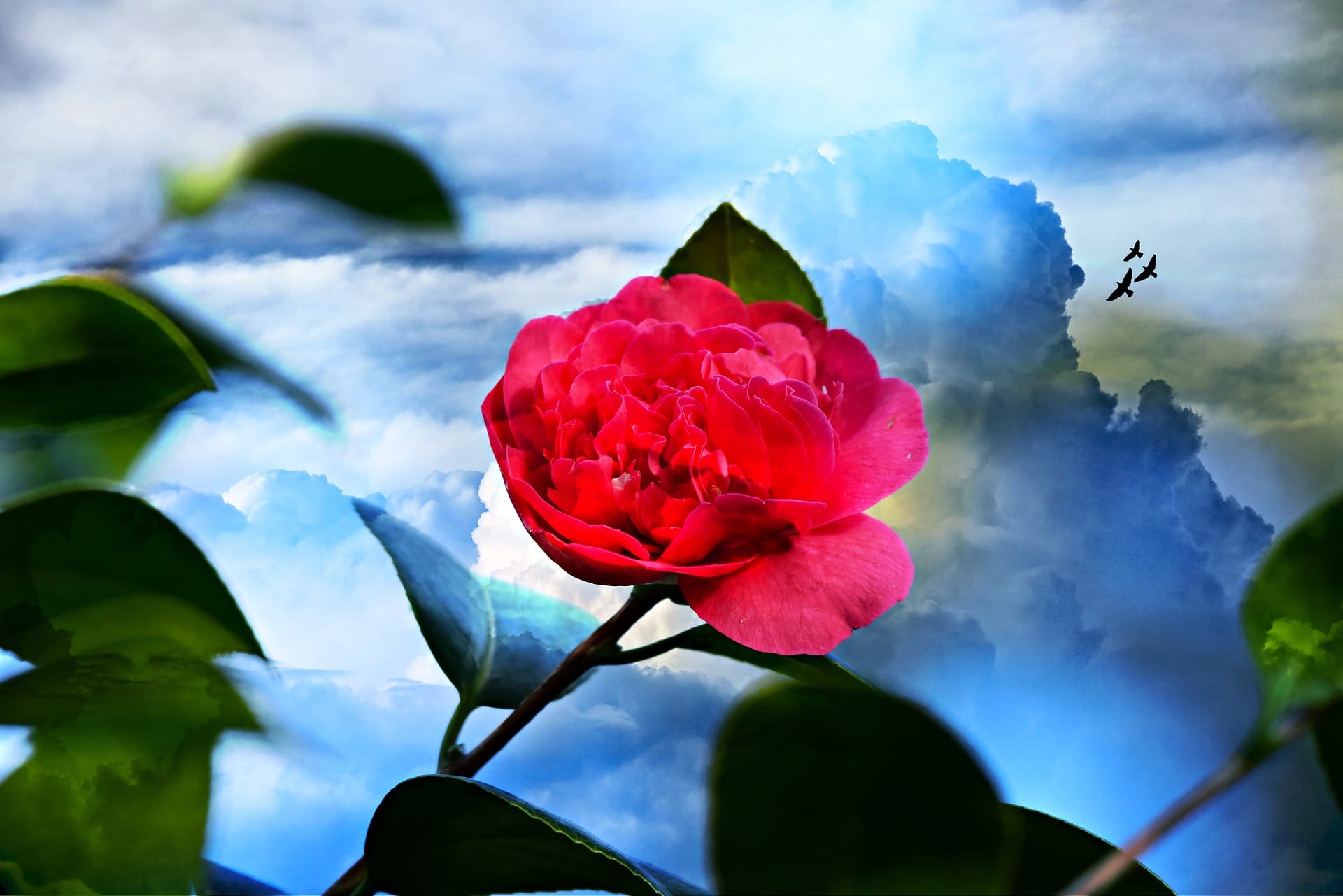 7 Spiritual Gifts Package