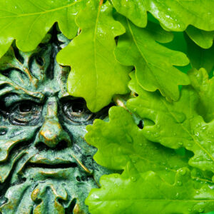 Green Trilogy Reiki
