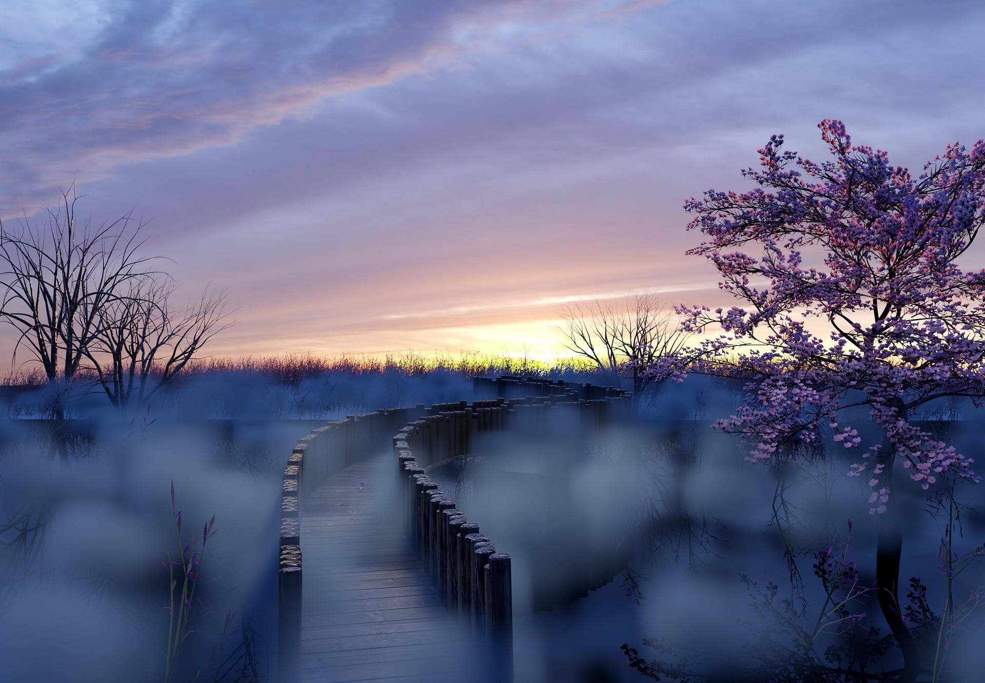 Clearing Shadow Paths Empowerment