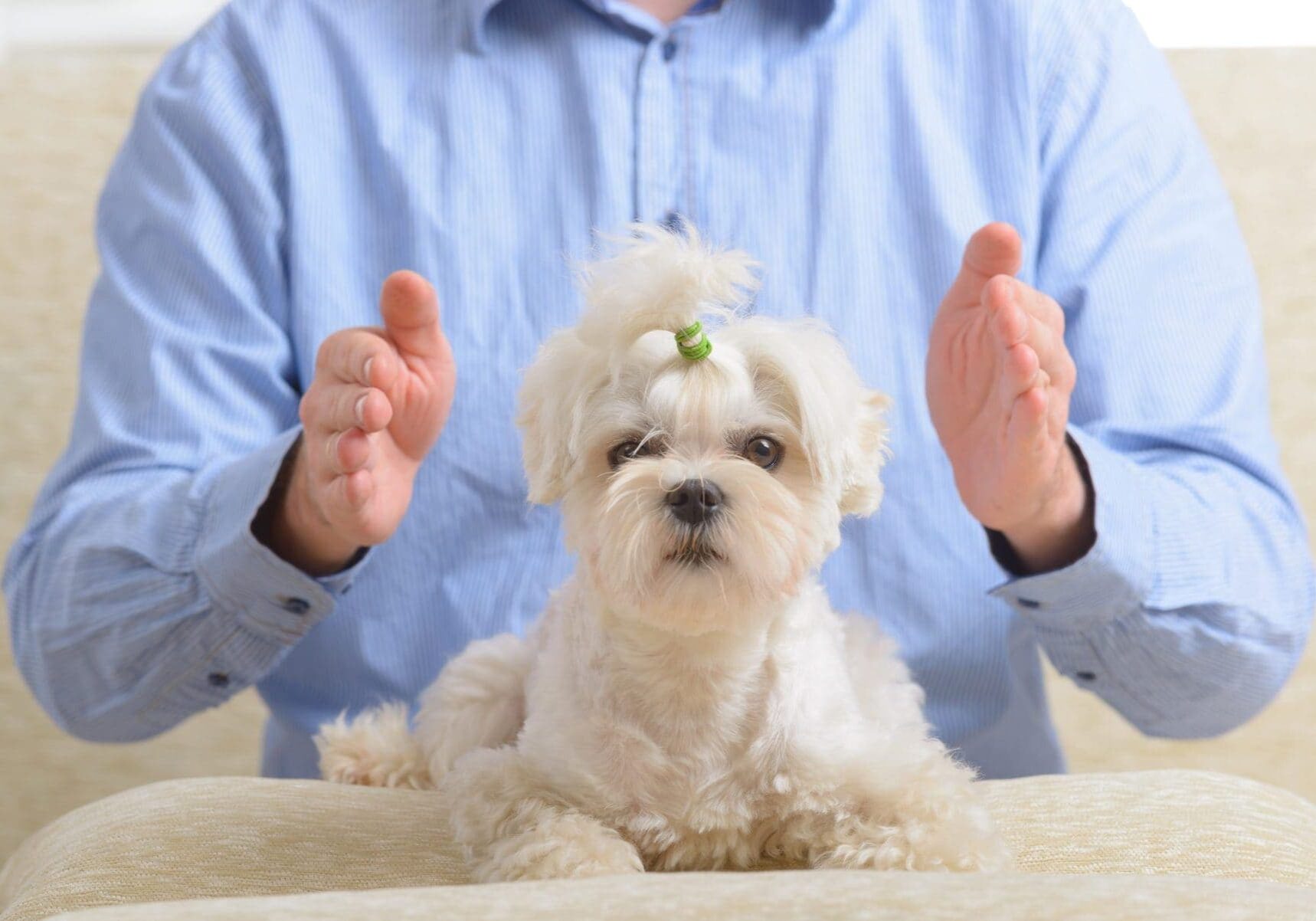 Reiki Attunements