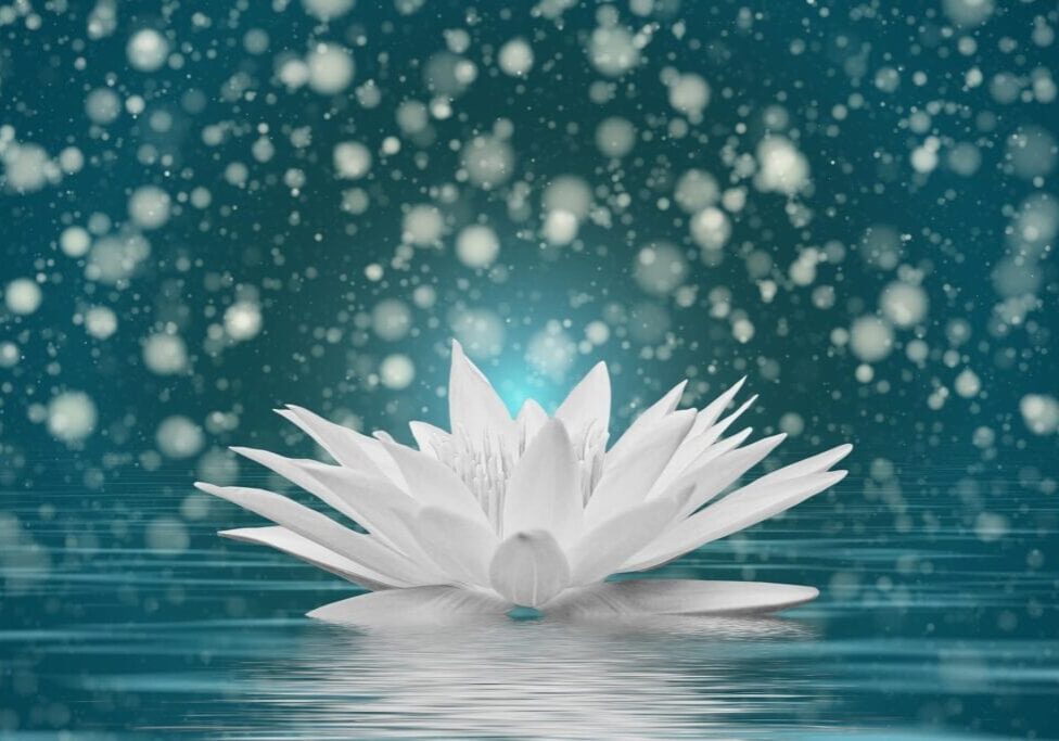 Attunement Packages